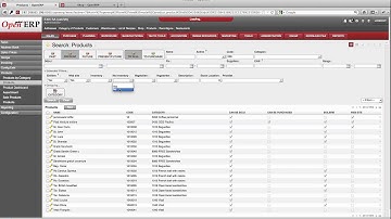 Bug Search View OpenERP