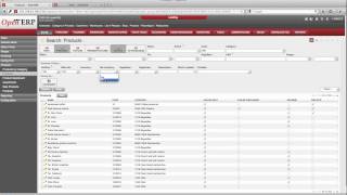 Bug Search View OpenERP