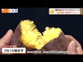 【蜜がたっぷり入ったとろける味わい】この秋食べたい！専門店のサツマイモスイーツ ～薩摩焼芋3515～ ”Jチャン＋”この店この味(9月27日(火)放送)