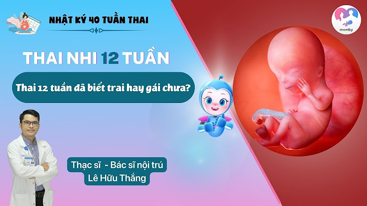 Thai nhi 12 tuần nặng bao nhiêu năm 2024