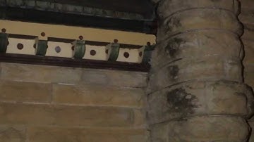 Bats Humanely Excluded from a Large Building by ABC Humane Wildlife Control & Prevention Inc.