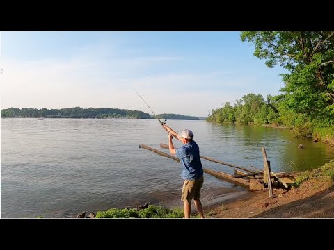 Bank Fishing for Catfish | Tips, Tricks, & Tactics for Beginners