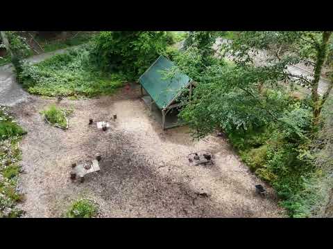Drone shots through Tree Tops and Train Tracks