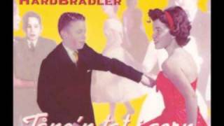 Video thumbnail of "Ausseer Hardbradler - Tanz'n tat i gern  (AustroPop)"