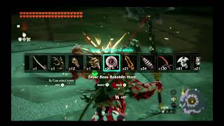 #darklink #destroys #armor #silver #savage #lynel #nodamage #zelda #tearsofthekingdom