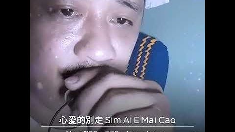 Sim ai e mai cao