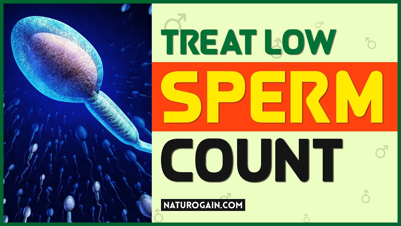 How To Treat Low Sperm Count And Motility Naturally YouTube How To Treat Low Sperm Count And Motility Naturally YouTube