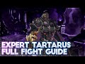 Tartarus's Wrath (Expert) Guide - Dragalia Lost