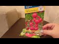 Лучшие гибриды томатов для теплиц.23.09.2021
