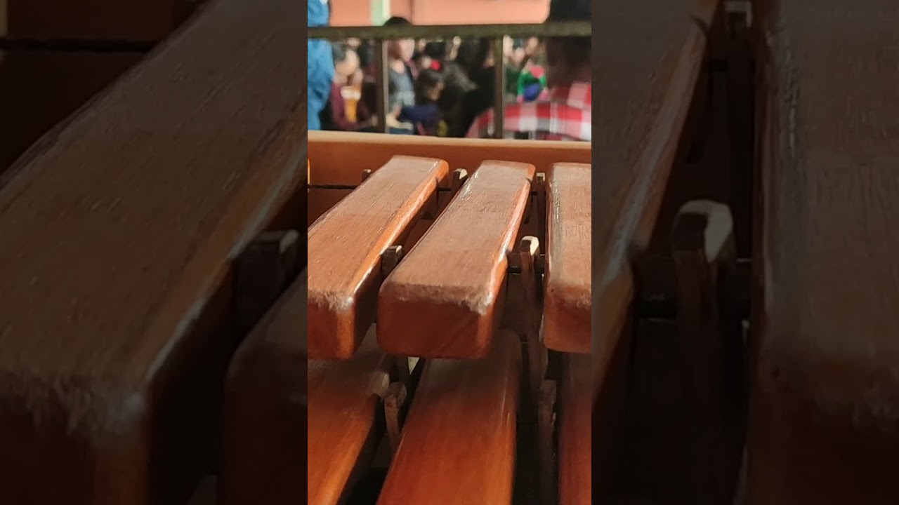 Un mix de nuestros sones Marimba Flor Jolom konob (En Vivo) YouTube