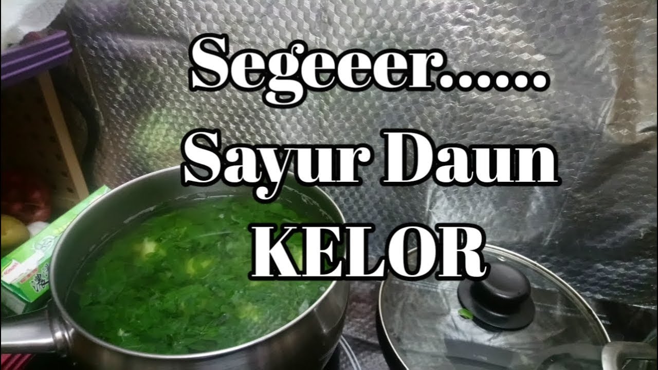 Cara Masak Sayur Daun Kelor (Bening) YouTube Cara Masak Sayur Daun Kelor (Bening) YouTube