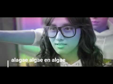 alage-algae-album-song...korean-version-for-whatsapp-status