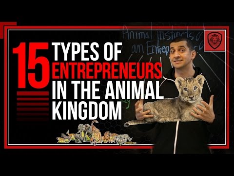 15 Types of Entrepreneurs in the Animal Kingdom