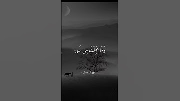 يوم تجد كل نفس - تلاوة جميلة بصوت سيد سعيد #حالات_واتس .