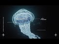 TSL (THE SIXTH LIE) のライブ配信