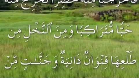 سورة الانعام صفحة ١٤٠ مكتوبة مكررة بصوت سعد الغامدي