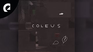 Aleph One - Coleus (Royalty Free Music)