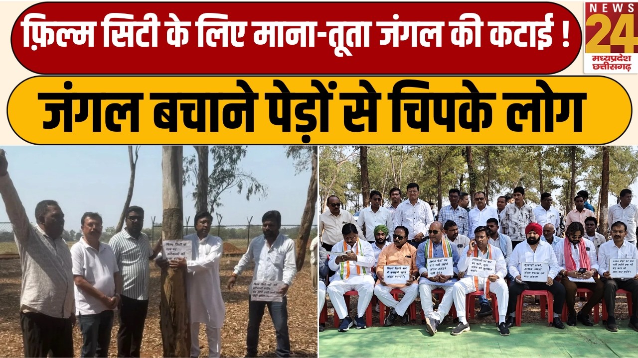 Mana-Tuta Jungle Cutting : Mana-Tuta में 'चिपको आंदोलन' की वापसी! जंगल बचाने के लिए आर-पार की जंग