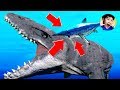 단 한번의 기회!! 브링어 바다의 제왕에 도전한다!! - 피드 앤 그로우 피쉬(Feed and grow fish) - 겜브링(GGAMBRING)