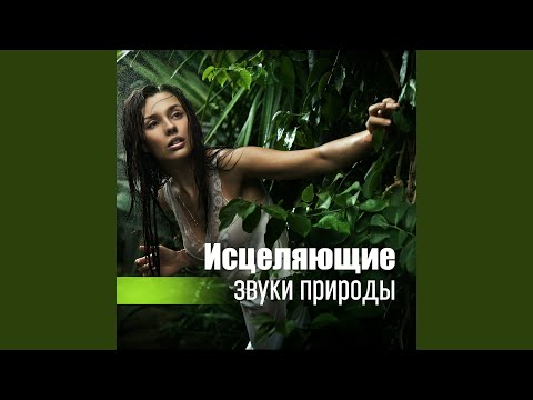 Амбиентная терапия