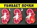 Мы сами Враги Почек, 11 привычек которые Гробят Почки! А, вот, что нужно...