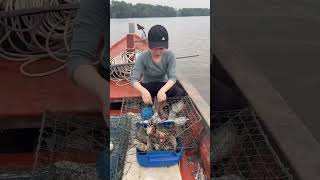 Awesome Crabbing On The Ocean!