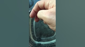 D&D D20 Dice Rolling in Salt Water Balance Test # 1