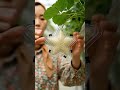 I grew a white strawberry into a perfect star with plastic mould. Here is how it looks inside 👇