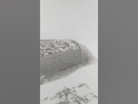 Малчин түмэн минь амар амгалан байх болтугай. ( мал маллах тун шандас ...