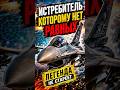 Не стареющая легенда 🛩️ #shorts #f16 ##авиация #сша #военнаятехника