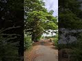 Valavarayankuppam | வாளவராயன்குப்பம் | மயிலாடுதுறை மாவட்டம்