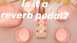 AC noises AMA demo: is it a reverb pedal?