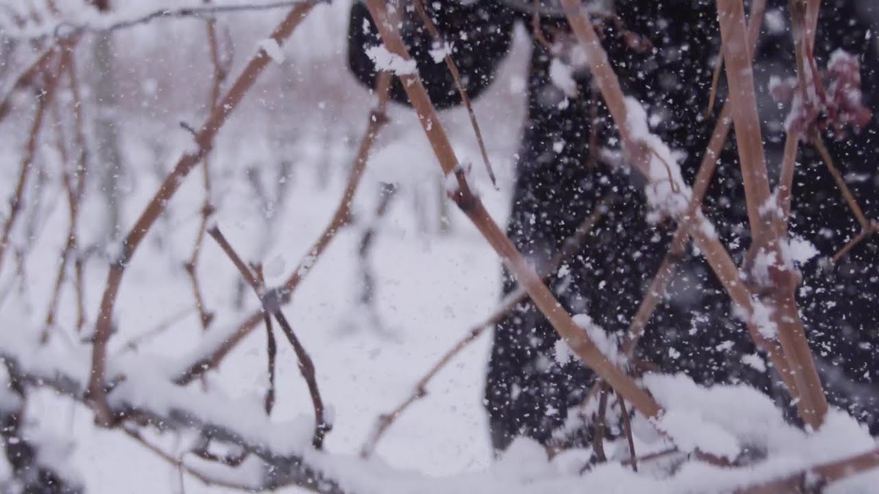 A Year In The Life: BC Wine in Winter with Buy BC - Short Intro