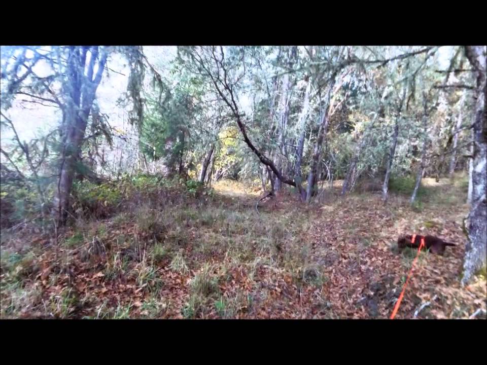 Start double blind overnight trail YouTube