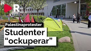 Studenter "ockuperar" vid svenska universitet