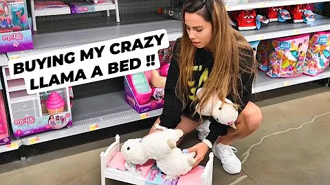 TAKING MY LLAMA FURNITURE SHOPPING !! *super cute*