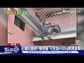 尼龍防護網+細網層 可受逾400kg瞬間衝擊｜TVBS新聞 @TVBSNEWS01