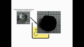 Modification of environmentally sensitive poly(N-isopropylacrylamide) hydrogel with polyaniline