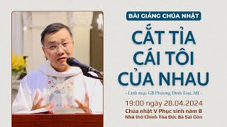 Cắt tỉa cái tôi của nhau - Lm GB Phương Đình Toại, MI | CN V PS năm B