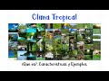 Clima Tropical