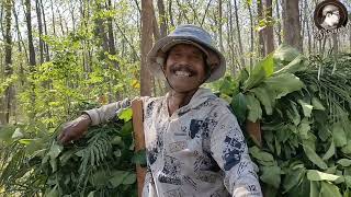 RIBUAN ANGGOTA PKI DIEKSEKUSI dan DIKUBUR DALAM HUTAN JATI INI
