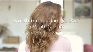 What Happens When You Stop Using Shampoo  3 month 'No Poo' Update