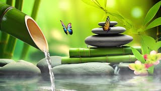 Music to Relax the Mind, Music for Meditation, Relaxing Sleep Music, Zen, Water Sounds, Bamboo by Peaceful Moments 30,937 views 12 days ago 3 hours, 41 minutes