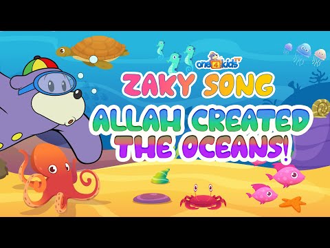 Zaky Song -