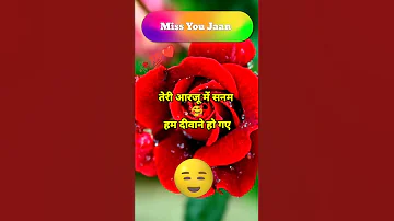 हम दीवाने !!🥀🥀 Good night shayari status 🌹🌹 shayari photo 💓💓#shayari #short