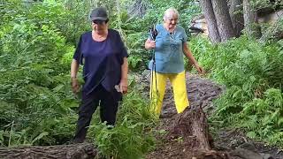 Окрестность оз.Жасыбай " Ущелье ведьм ". 8.08.2023 года. Отдых в турбазе " Баянаул ".