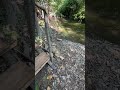 Orijinal Ses Sizlik Orijinal Ses Sizlik