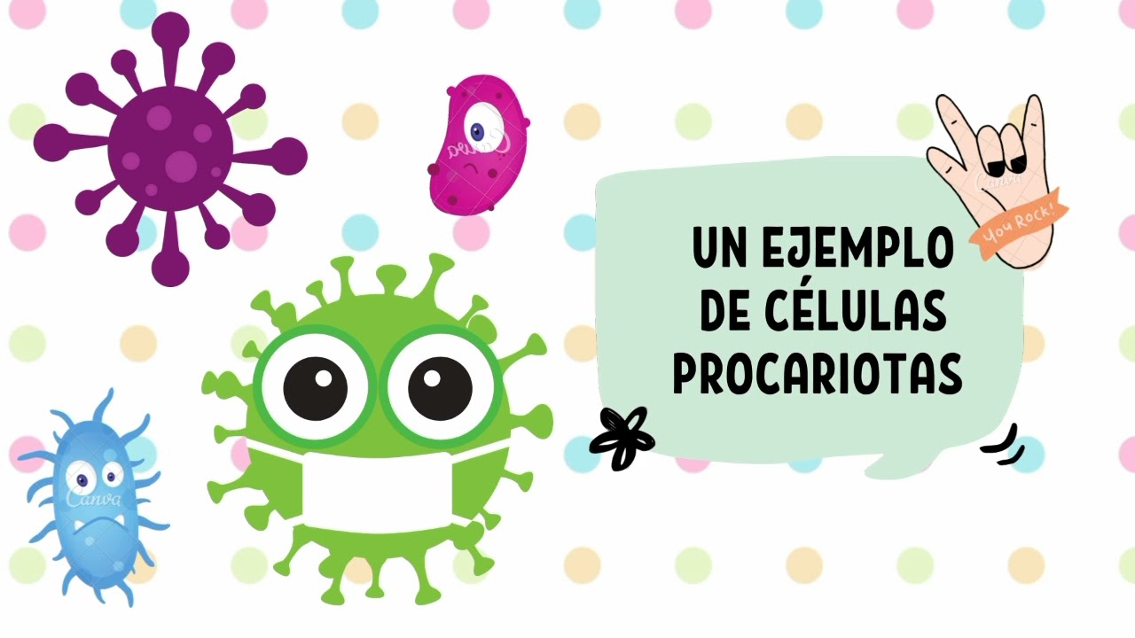 Célula (Naturaleza macro, micro y submicro). - YouTube