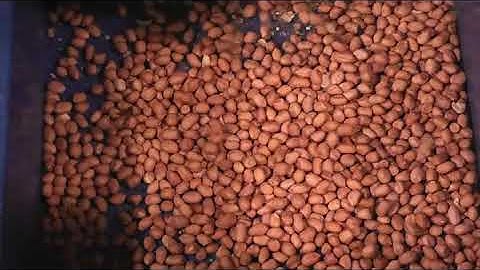 Peanut Sorting Video