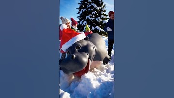 Thumbnail of I want a hippopotamus for Christmas | Gayla Peevey song | Christmas song | Hippo Song 🦛 🎄🎁